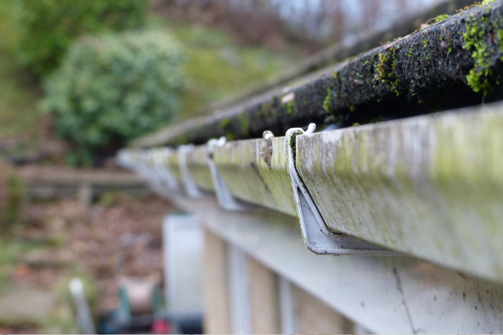 When to clean gutters