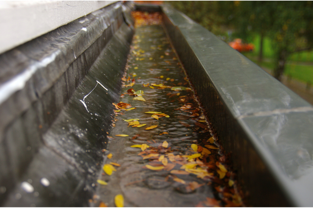 Fall gutter Cleaning