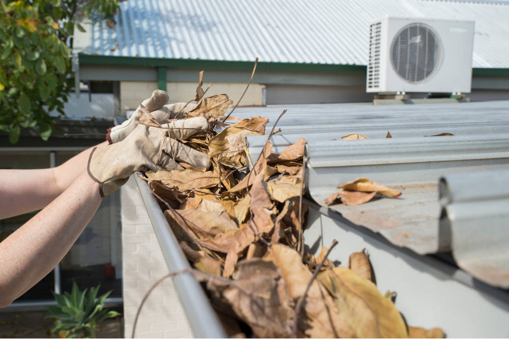 KEEPING YOUR GUTTERS CLEAR OF LEAVES