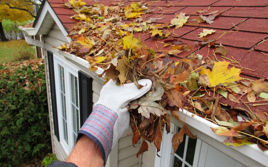 clogged gutter