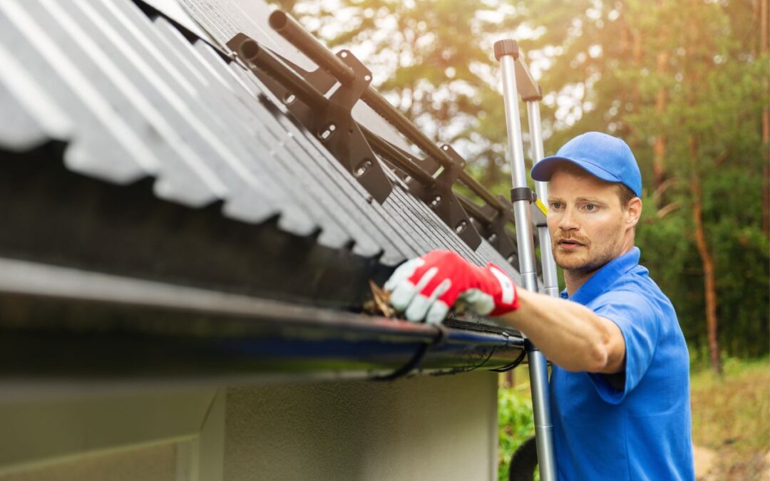 Gutter Cleaning 101: What Professional Services Include and Why They’re Worth It